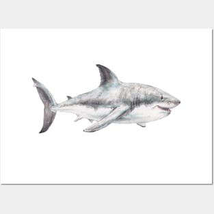 Happy Watercolor Shark Posters and Art